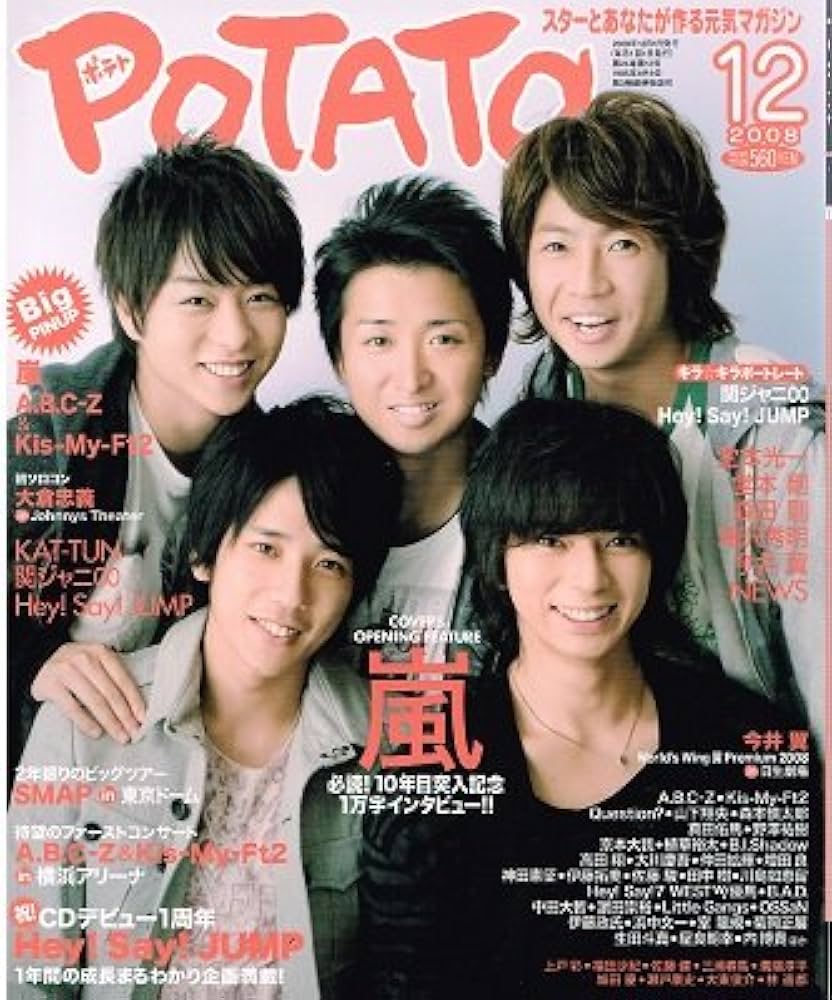 POTATO (ポテト) 2008年 12月号 [雑誌] |本 | 通販 | Amazon